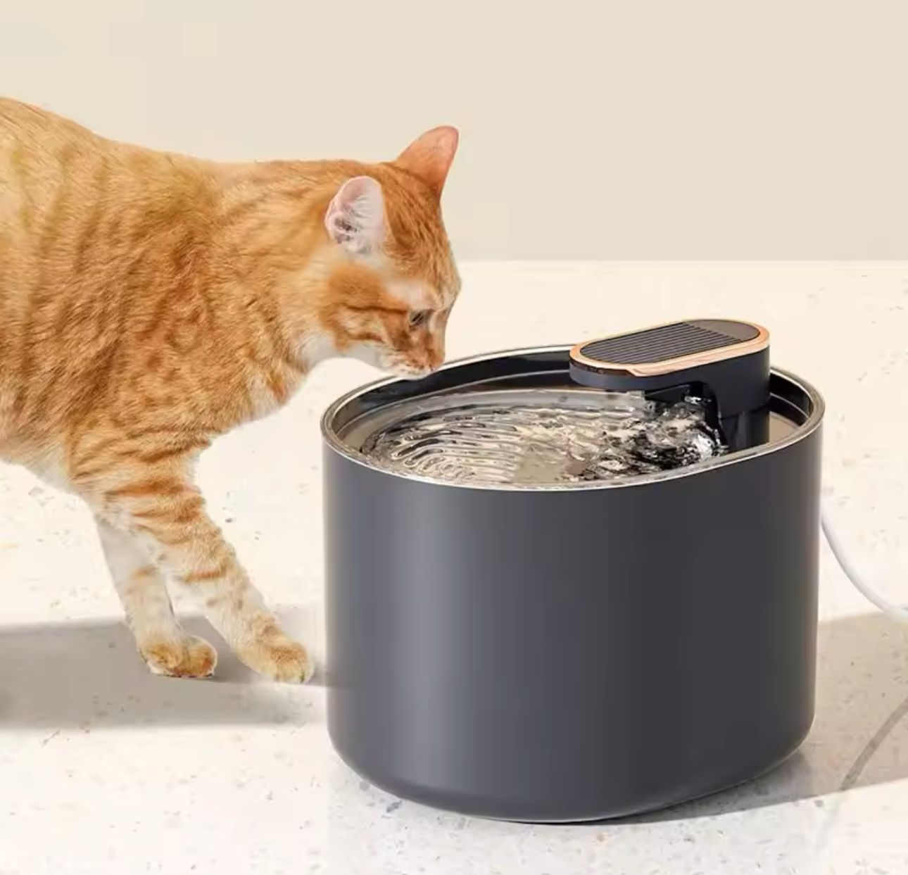 Bebedero Inteligente Automático para Perros y Gatos