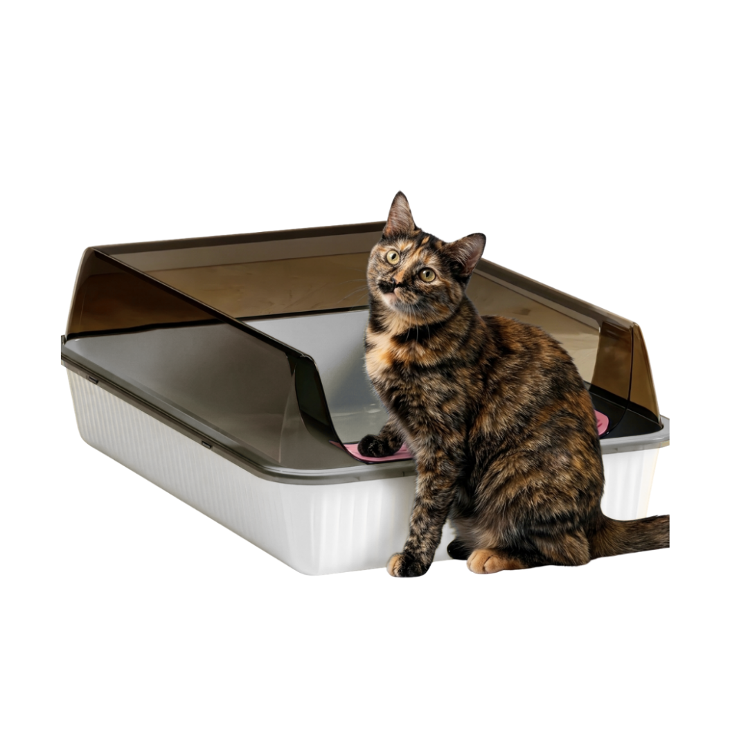 Arenero Para Gatos