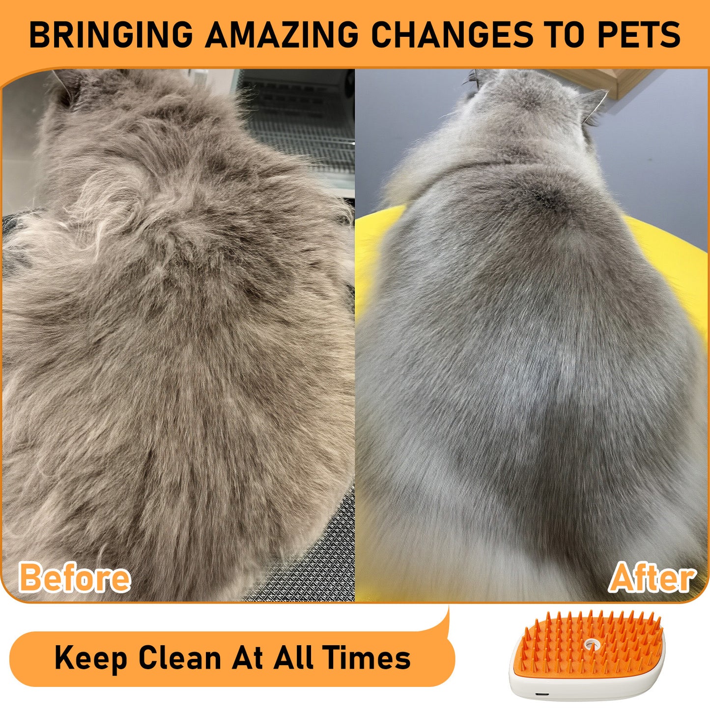 4-in-1 Steam Brush for Dogs and Cats